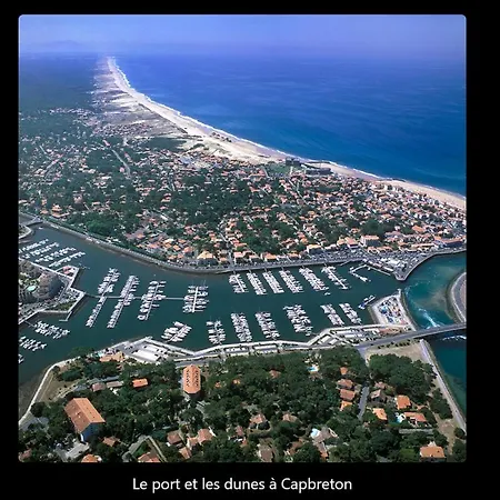 Maison Landaise 6 Personnes 20min De L'ocean Meuble Tourisme 3 Etoiles